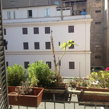 Lam Rome